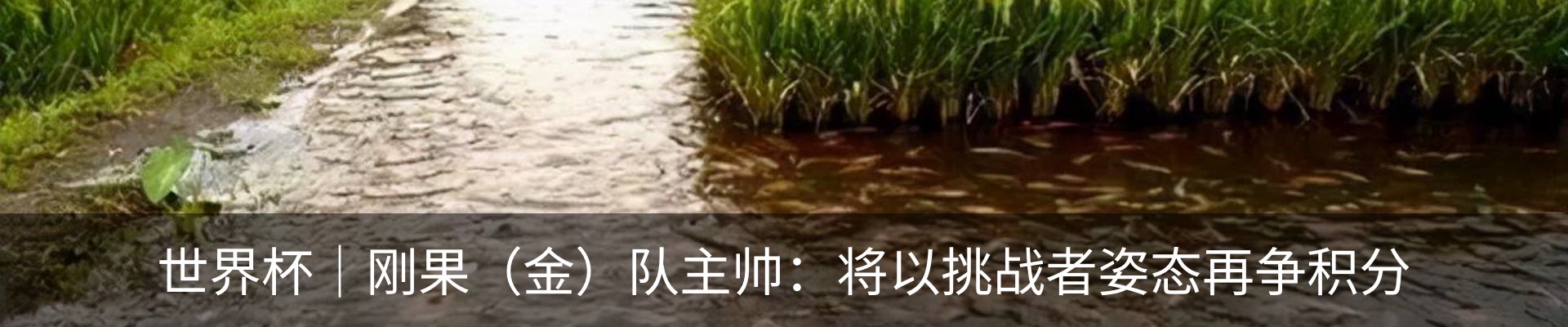 资讯中心