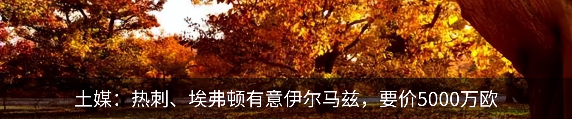 资讯中心