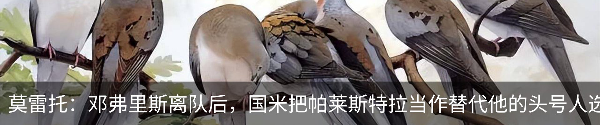 资讯中心