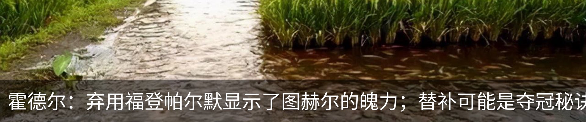 资讯中心